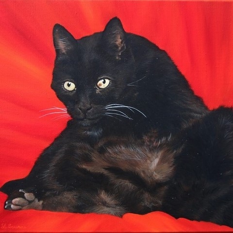 Peinture de chat noir par la peintre animalier Laurence Saunois