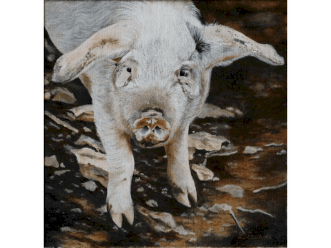Peinture de petit cochon par Laurence Saunois, artiste peintre animalier