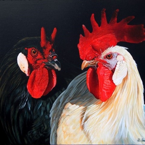 Peinture de coqs par la peintre animalier Laurence Saunois