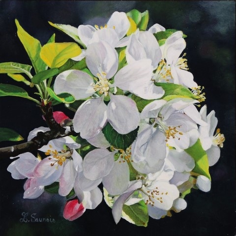 Peinture de fleurs de pommier de l'artiste peintre Laurence Saunois