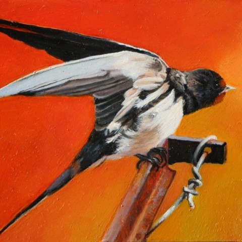 Peinture miniature d'une jeune hirondelle - Laurence Saunois, peintre animalier