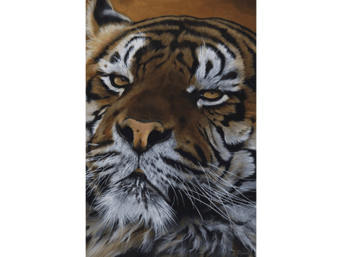 Peinture de tigre par Laurence Saunois, artiste peintre animalier