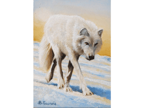 Miniature painting : white wolf - wildlife artist Laurence Saunois