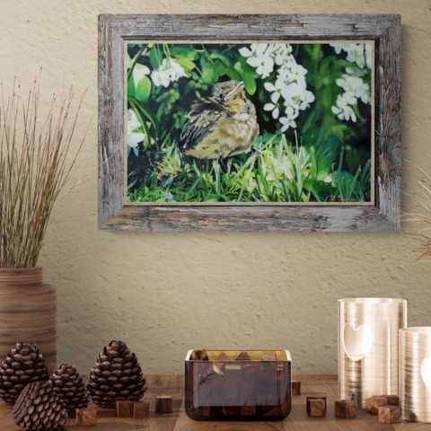 Tableau de jeune merle dans l'herbe en situation au dessus d'un meuble - artiste Laurence Saunois, peintre animalier