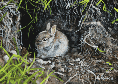 Peinture miniature de Lapin - peintre animalier Laurence Saunois