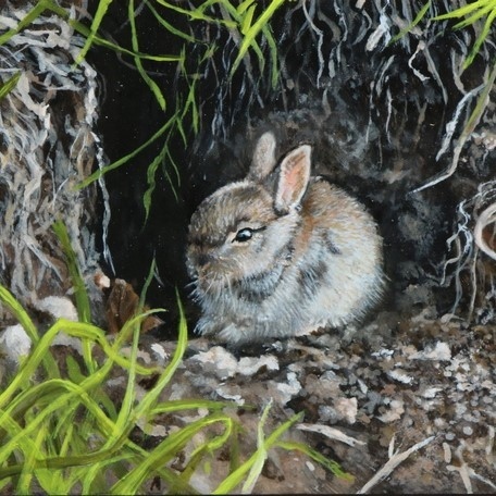 Peinture Miniature d'un lapereau par la peintre animalier Laurence Saunois