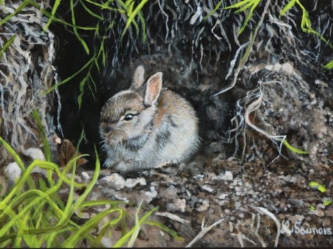 Tableau miniature d'un lapereau devant un terrier - Laurence Saunois, peintre animalier