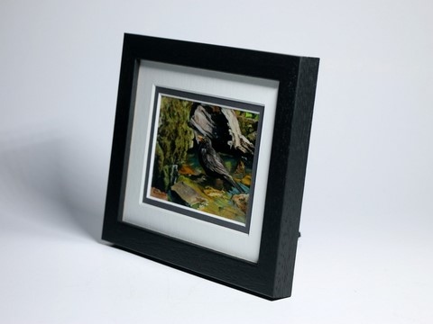 Framed miniature painting of a blackbird : wildlife artist Laurence Saunois