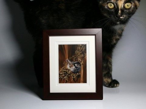 Peinture miniature encadrée de moineau et chaton : peintre animalier Laurence Saunois