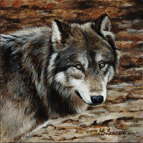 Peinture miniature de loup réalisée par la peintre animalier Laurence Saunois