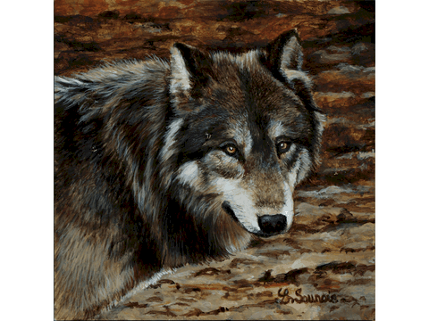 Peinture miniature de loup réalisée par la peintre animalier Laurence Saunois