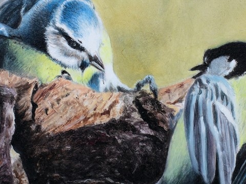 Peinture de mésanges (détails) par Laurence Saunois, artiste peintre animalier