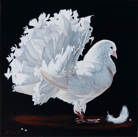 Peinture de pigeon blanc par Laurence Saunois, peintre animalier