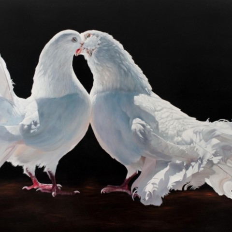 “Painting of white pigeons kissing by wildlife artist Laurence Saunois.