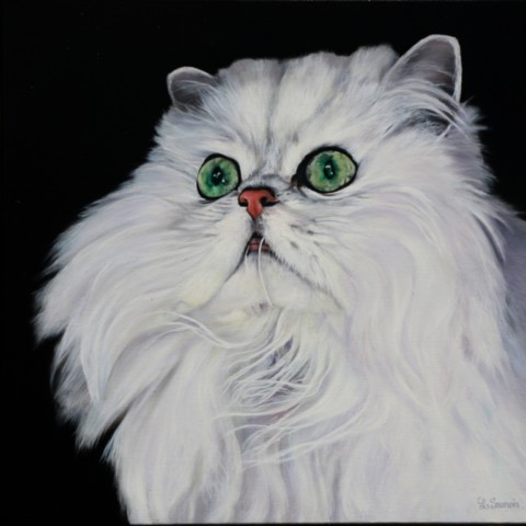 Peinture de portrait de chat persan blanc par l'artiste peintre animalier Laurence Saunois