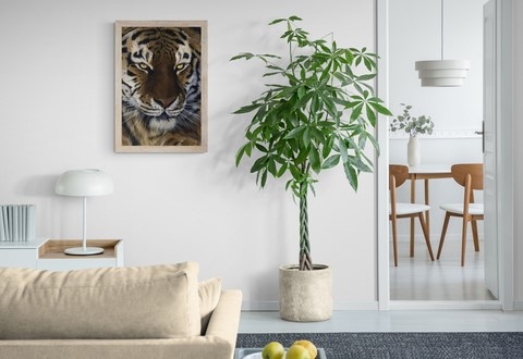 Tableau d'un portrait de tigre par la peintre animalier Laurence Saunois