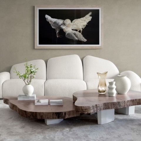 “Painting of three white hens displayed in a living‑room setting above a sofa by wildlife artist Laurence Saunois.