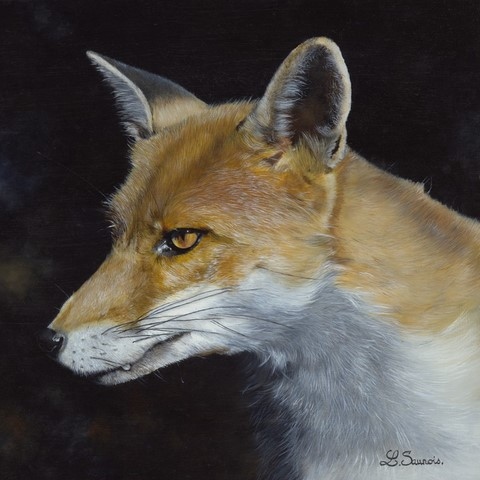 Peinture d'un portrait de renard roux par la peintre animalier Laurence Saunois