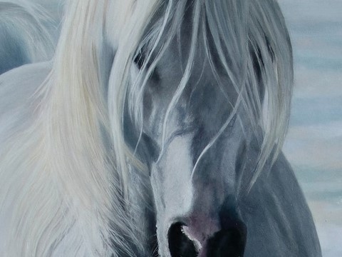 Peinture de cheval (détails) par Laurence Saunois, artiste peintre animalier