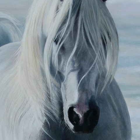 Peinture de cheval (détails) par Laurence Saunois, artiste peintre animalier