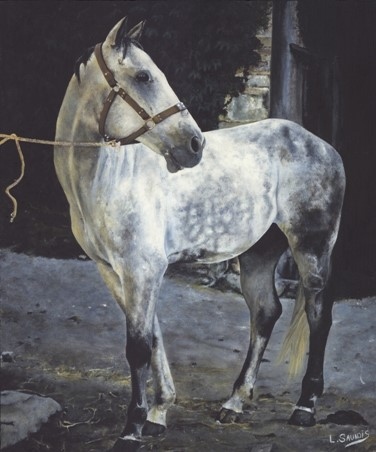 Peinture de cheval par Laurence Saunois, artiste peintre animalier