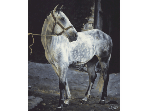 Tableau de cheval réalisé par Laurence Saunois, peintre animalier