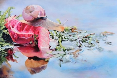 Peinture d'escargot par Laurence Saunois, artiste peintre animalier