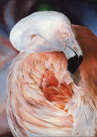 Peinture de flamant rose : peintre animalier Laurence Saunois