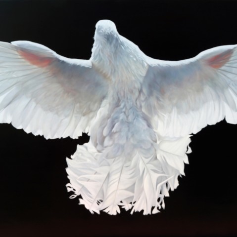 “Painting of a white pigeon with its wings spread by wildlife artist Laurence Saunois.
