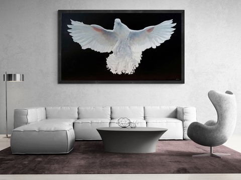 Tableau de pigeon blanc en situation par Laurence Saunois, peintre animalier