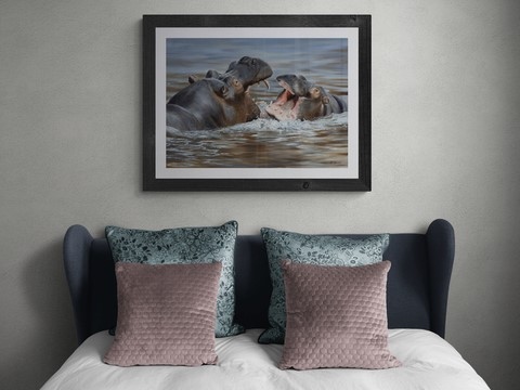 Peinture d'hippopotames dans une chambre : peintre animalier Laurence Saunois