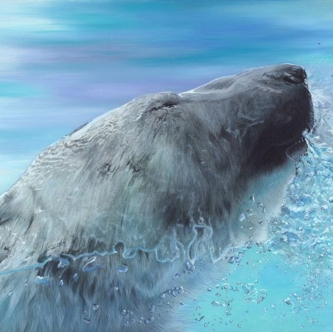 Tableau d'ours polaire sous l'eau par la peintre animalier Laurence Saunois