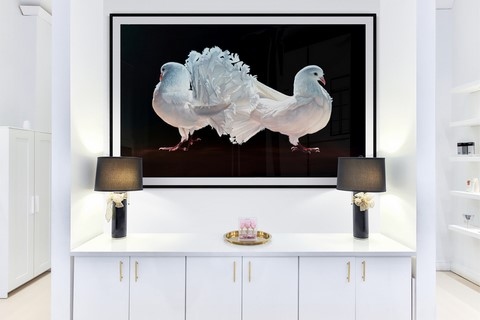 Tableau de pigeons blancs en situation par Laurence Saunois, peintre animalier