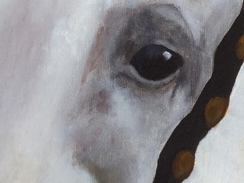 Peinture de cheval (détails) par Laurence Saunois, peintre animalier