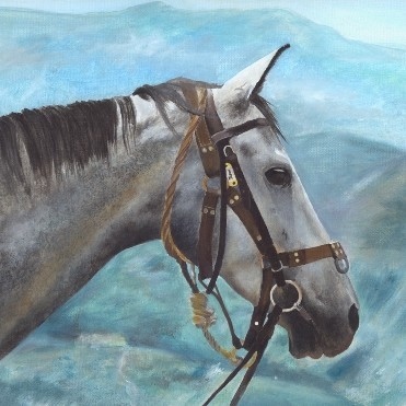  Oil painting of a trail horse portrait by wildlife artist Laurence Saunois