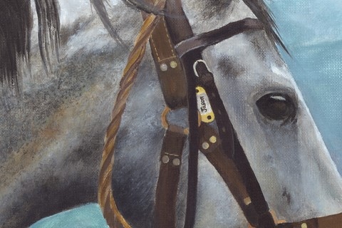 Peinture de cheval (détails) par Laurence Saunois, artiste peintre animalier