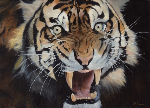 Peinture de portrait de tigre : peintre animalier laurence Saunois