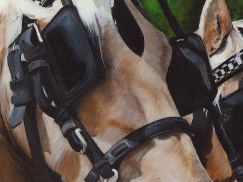 Peinture de chevaux palominos (détails) par Laurence Saunois, peintre animalier
