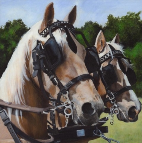  Oil painting of two harnessed Palomino horses by wildlife artist Laurence Saunois