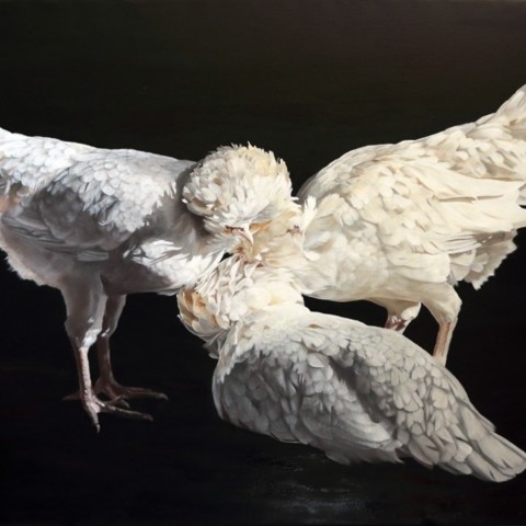 “Painting of three white hens by wildlife artist Laurence Saunois.