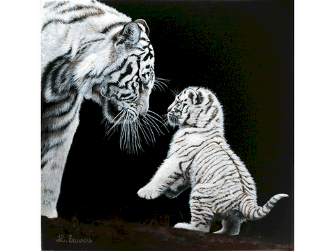 Peinture de tigres blancs par Laurence Saunois, artiste peintre animalier