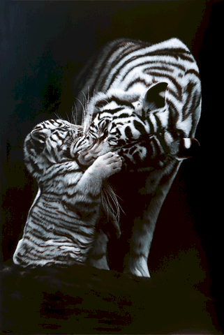 Tableau à l'huile d'une tigresse et son petit par la peintre animalier Laurence Saunois