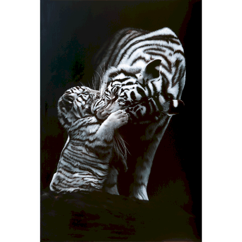 Peinture de tigres blancs par Laurence Saunois, artiste peintre animalier