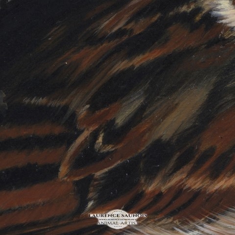 Détails d'une peinture de plumes : peintre animalier, Laurence Saunois