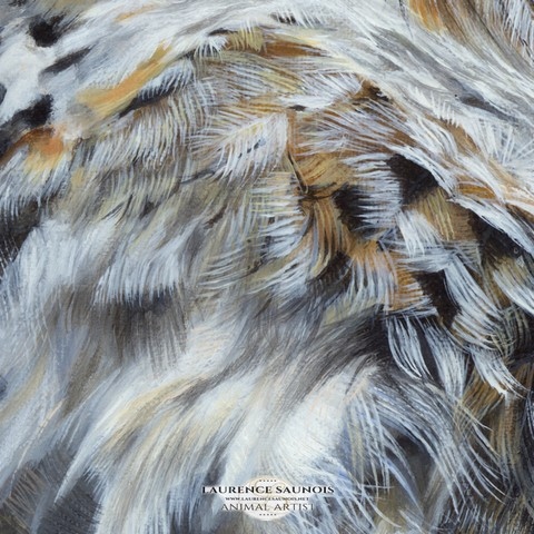 Détails d'une peinture de plumes : peintre animalier, Laurence Saunois