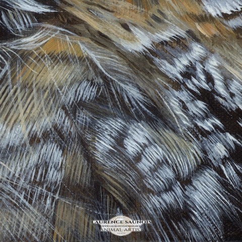 Details of a feather painting : animal artist, Laurence Saunois