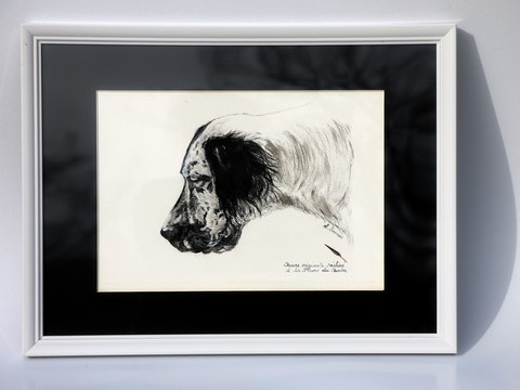Portrait de chien encadré réalisé à la plume du peintre par la peintre animalier Laurence Saunois