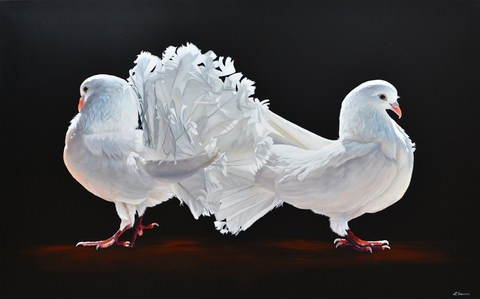 Tableau de pigeons blancs de Laurence Saunois, artiste peintre animalier