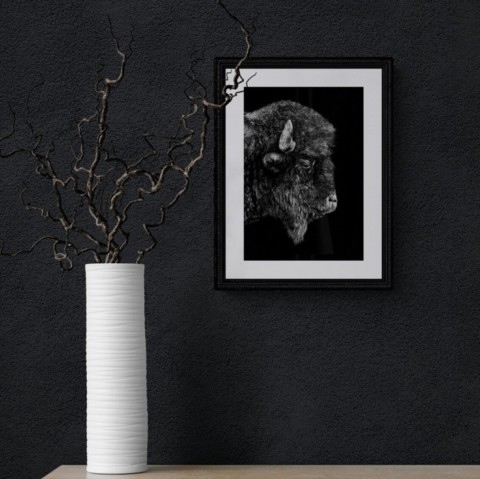 Scratchboard d'une tête de bison encadré en situation