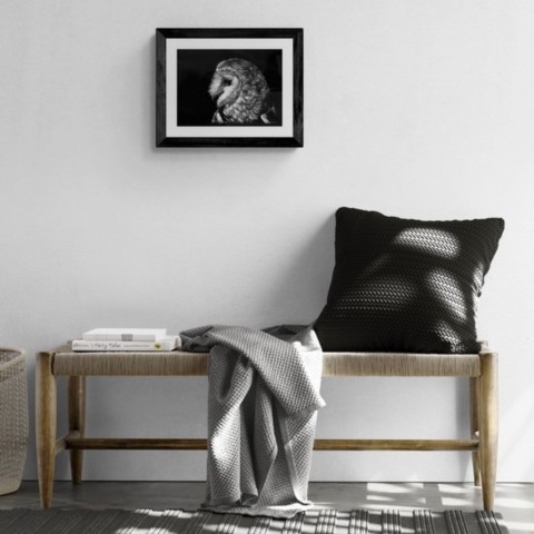 Scratchboard d'une chouette Dame Blanche en situation au dessus d'un banc